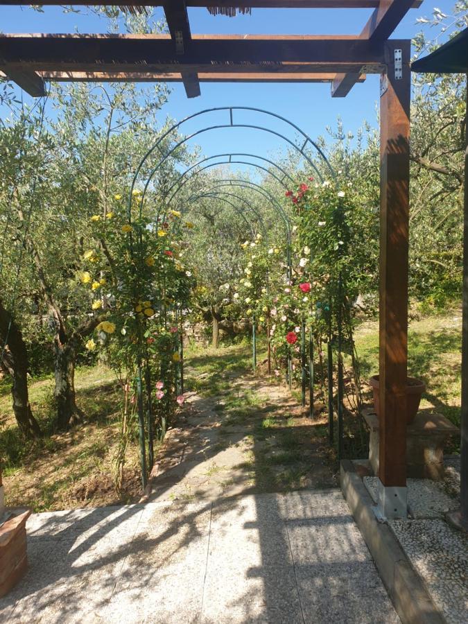 Casa Vacanze L'Oliveta Σιένα Εξωτερικό φωτογραφία