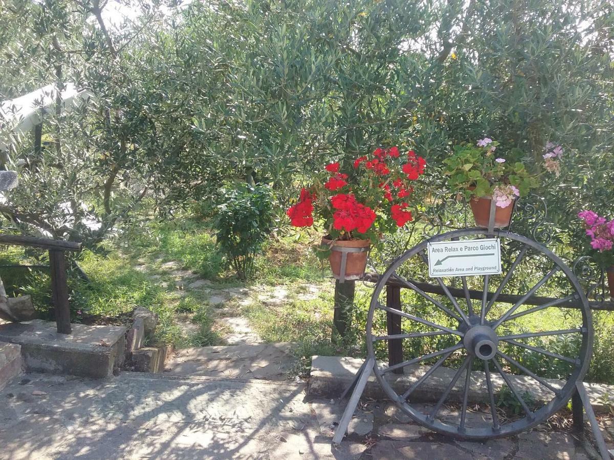 Casa Vacanze L'Oliveta Σιένα Εξωτερικό φωτογραφία