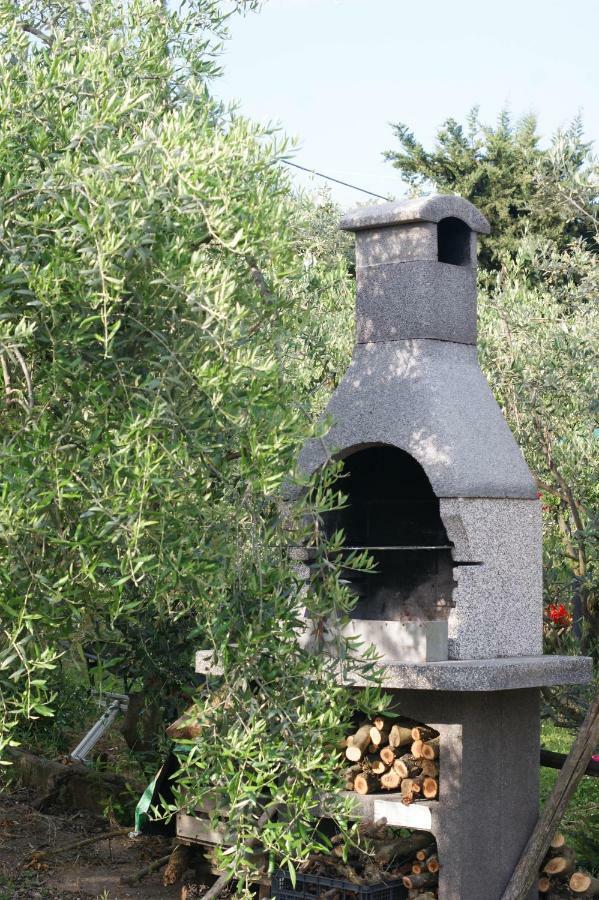 Casa Vacanze L'Oliveta Σιένα Εξωτερικό φωτογραφία