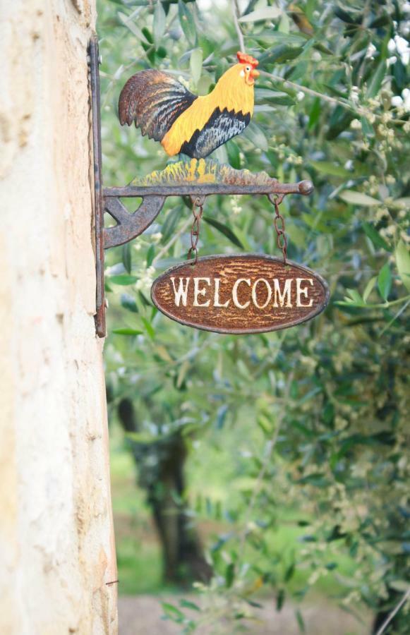 Casa Vacanze L'Oliveta Σιένα Εξωτερικό φωτογραφία